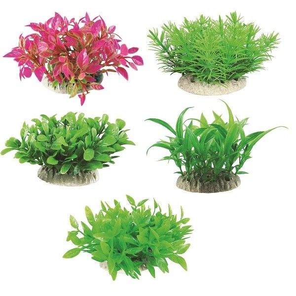 Plant Mix 7-9 cm, FLIPPER (192.16)