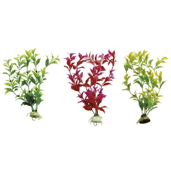 HYGROPHILA mix 28-30cm, FLIPPER (193.35)