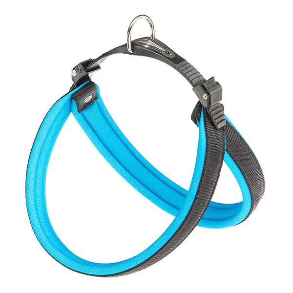 AGILA FLUO 5 HARNESS BLUE (75449525)