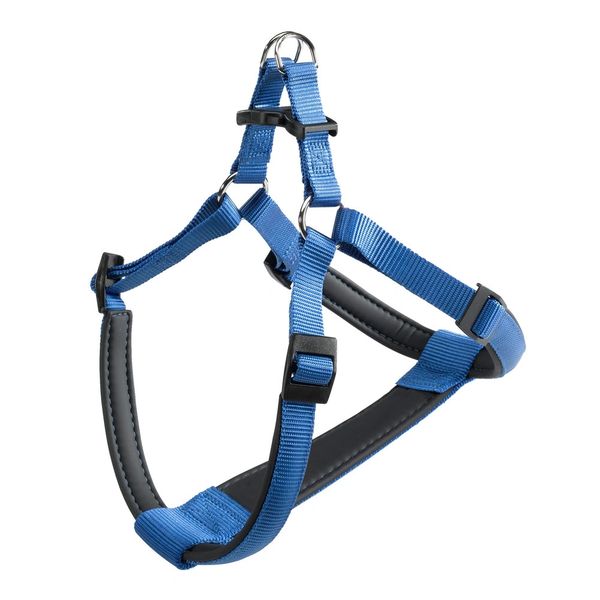 DAYTONA P SM HARNESS BLUE (75576925)