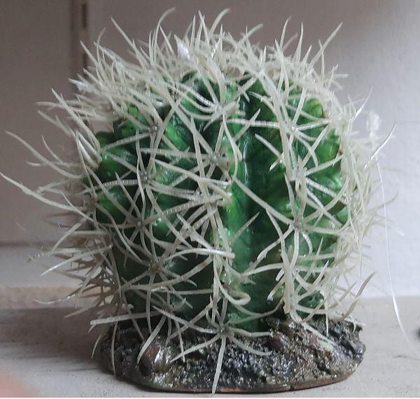 DESERT PLANT 11 (64610000)