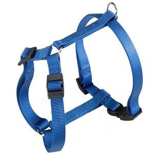 CHAMPION HARNESS LARGE BLUE (75550925)