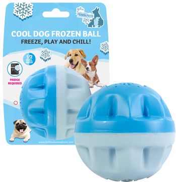 COOL DOG FROZEN TOYS