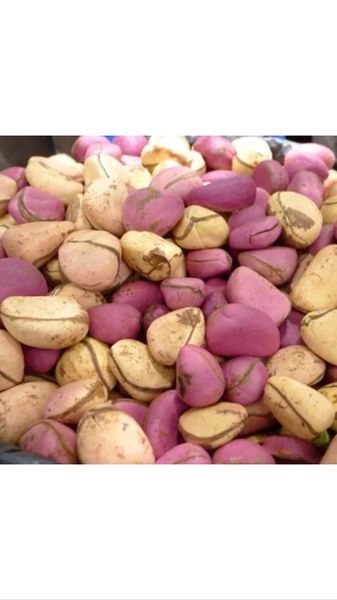 African Kolanut/ Colanut/ Cola Nut/ Bitter Kola nut 1/2lb