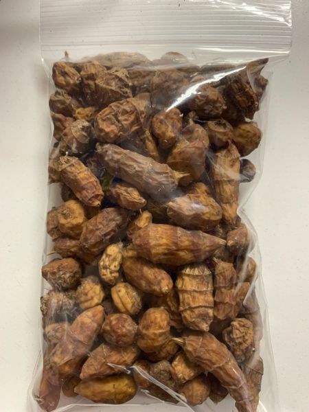Fresh Tiger Nut from Ghana