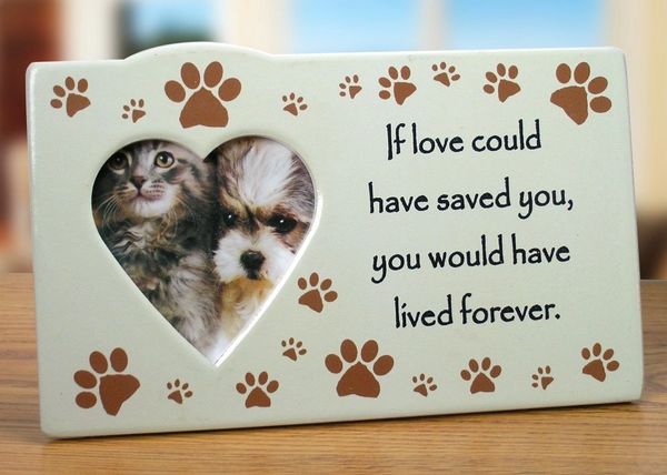 Pet - Memorial Frame - If Love Could Have Saved You