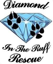 •	The mission of Diamond in the Ruff Rescue is to save the animals that are left abandoned in shelte