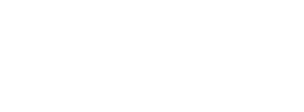 Dawns Dance Connection