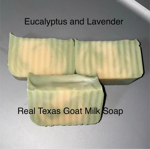 Eucalyptus and Lavender goat milk soap