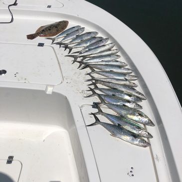 Spanish mackerel and flounder caught at one of our great nearshore reefs.