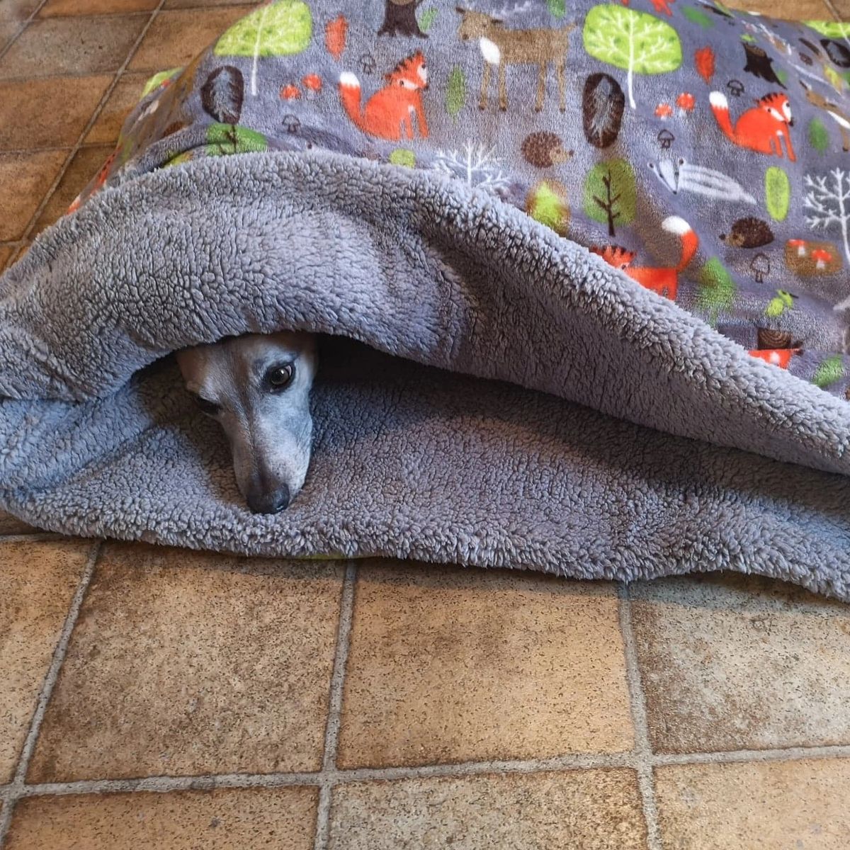Forest Fleece Dog Jumpers Pyjamas Bespoke Snuggle Wrap Beds