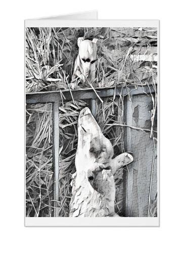 #F30| Around The Farm Greeting Cards | Chihuahua and Sheep Greetings