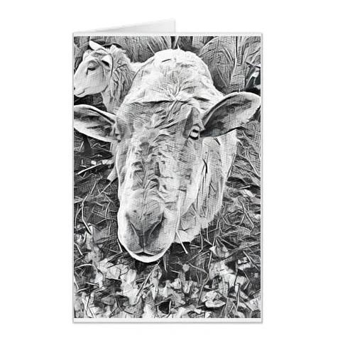 #F50| Around The Farm Greeting Cards | Sheep Face | Ontario Canada