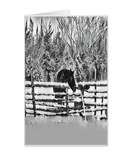 #57| Around The Farm Greeting Cards | Horse and Rail Fence