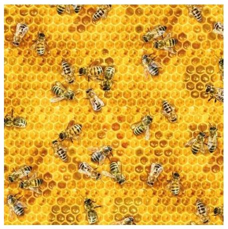 Fabric For Beeswax Wraps - 100 % Cotton | Honey Bees & Beehives