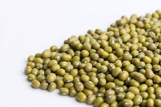 Mung Beans Sprout Seeds Organic Non GMO Kingston Ontario