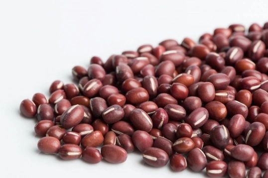 Adzuki Beans Sprout Seeds Organic Non GMO Kingston Ontario