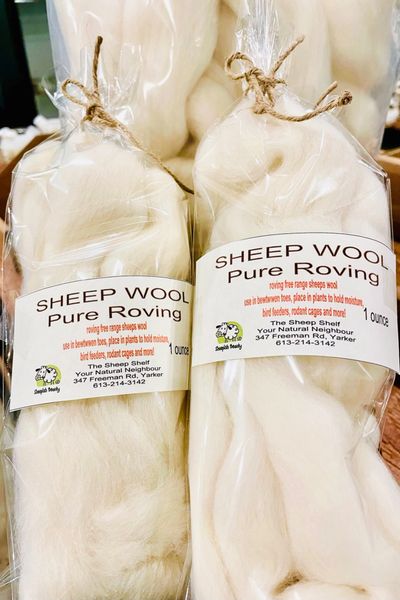 Sheep Wool Kingston Ontario Canada White Sheep Roving Wool
