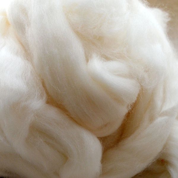 Sheep Wool Kingston Ontario Canada White Sheep Roving Wool