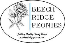 Beech Ridge Peonies