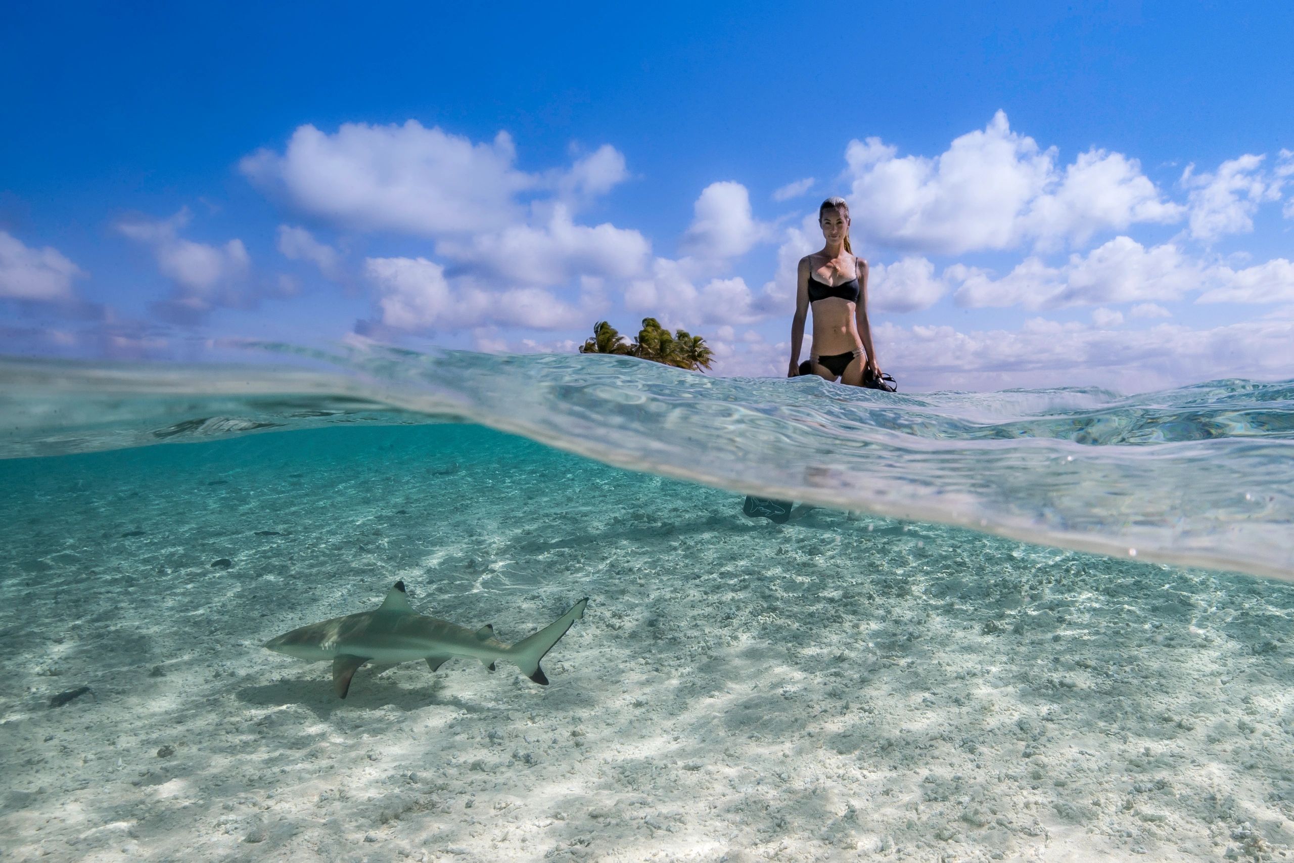 Ocean Ramsey