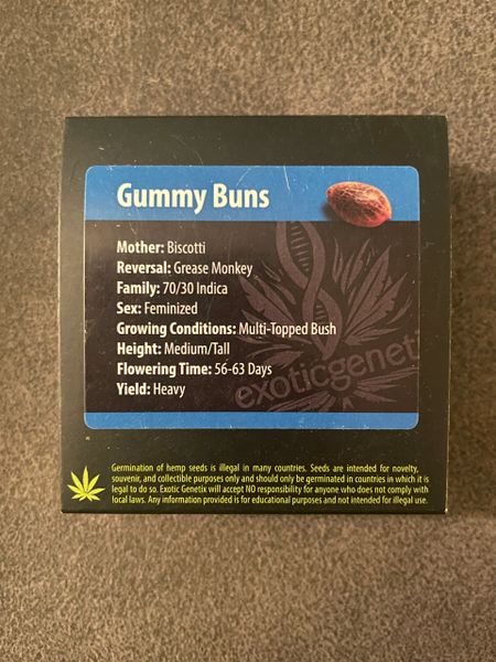 Gummy buns