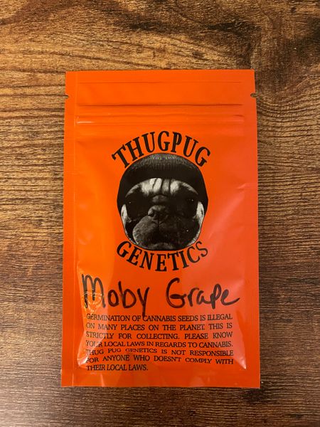 Moby Grape Thug pug regs 10-12 seed