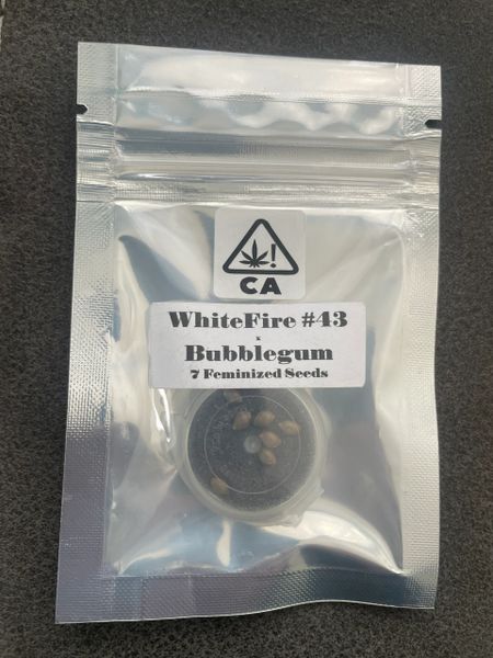 CSI Humboldt White fire 43 X Bubblgum