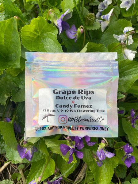 grape rips