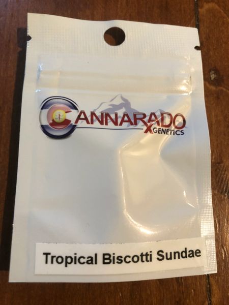 Tropical biscotti sundae