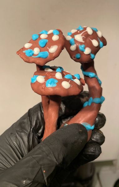 Smurf snacks 7 g of magic mushrooms dipped in Belgium milk chocolate