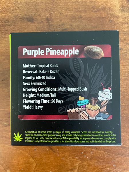 Purple pineapple 6+ fems