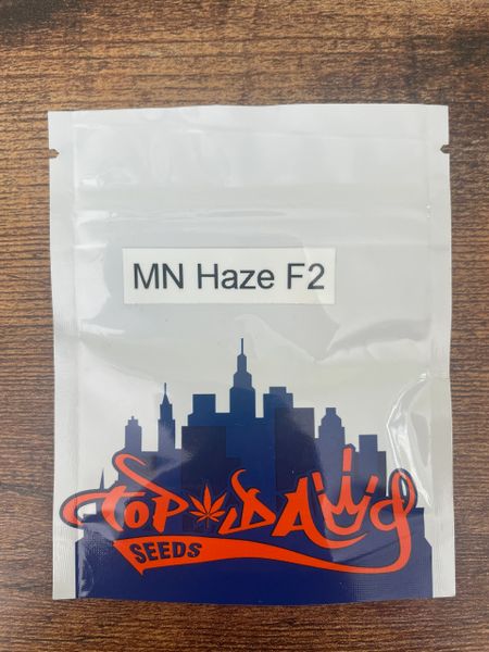 MN Haze F2