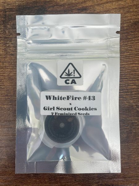 White fire #43 X Girl Scout cookies CSI