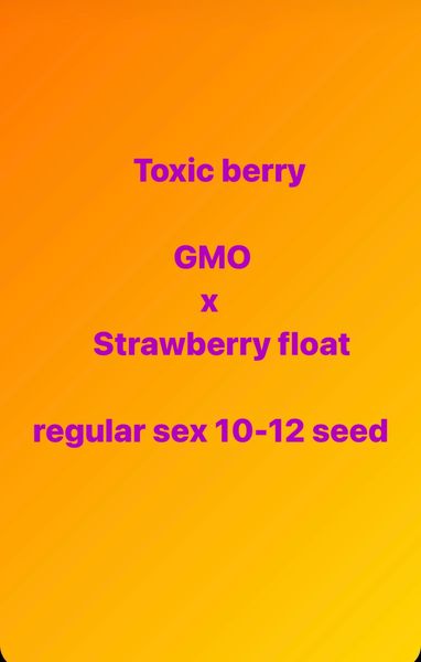 Toxic Berry