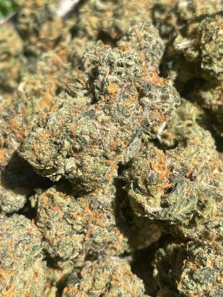 Gary Payton indoor flower Grown by 6ixotics