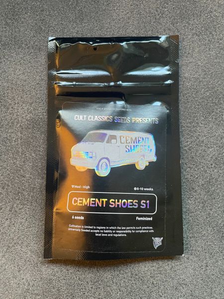 cement Shoes S1 cult classic