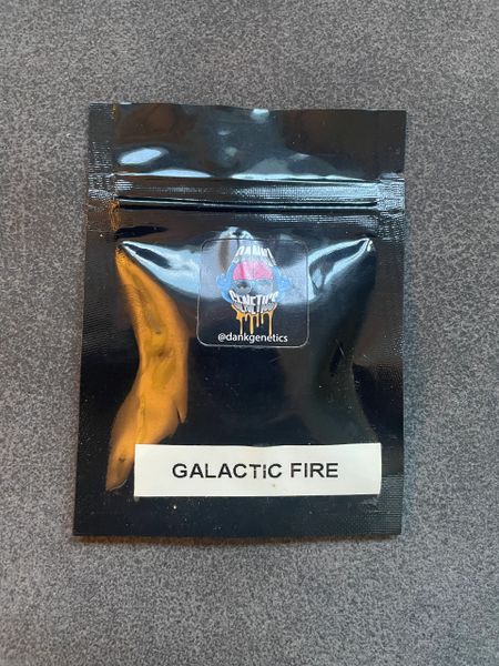 Galactic Fire Dank Genetics