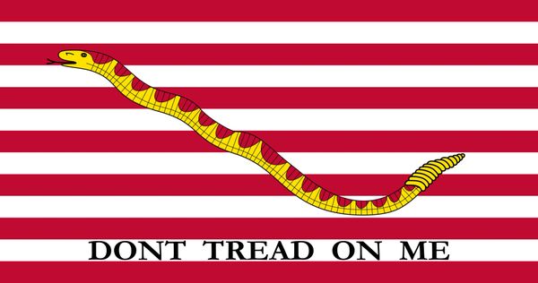 First Navy Jack: Dont Tread on Me H&G