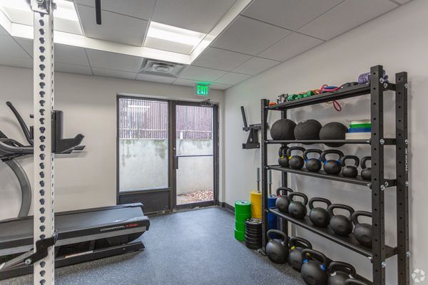 Dumbells in a gym on a rack