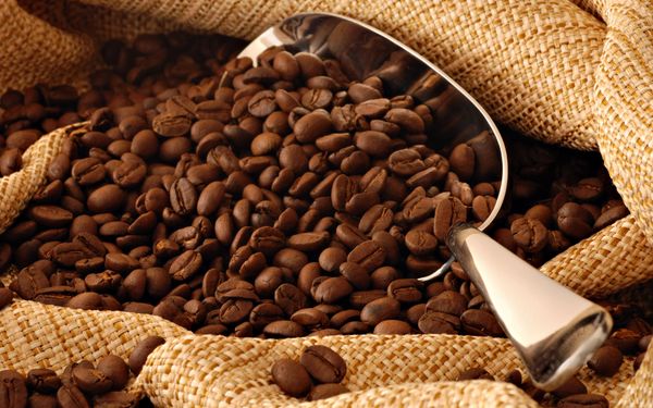 Panama Santa Maria Coffee