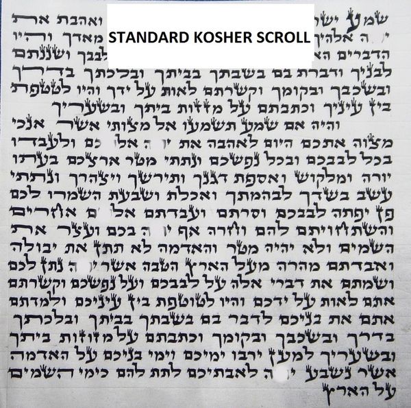 Kosher Scroll Handwritten Standard & Large - Sold Separately From Mezuzah Cases