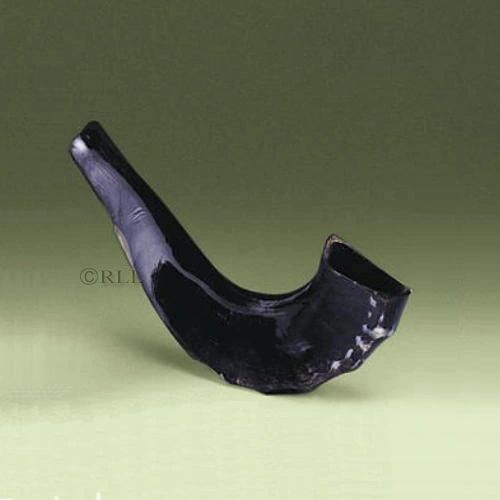 Medium Shofar