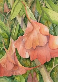 Angel's Trumpet 3