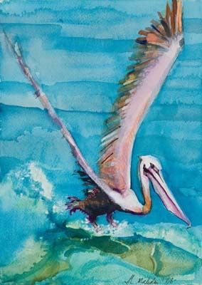Pelican Take Off