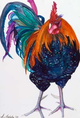 Rooster