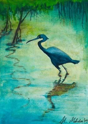 Little Blue Heron 1