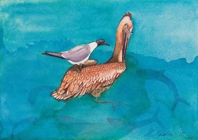 Pelican with Gull