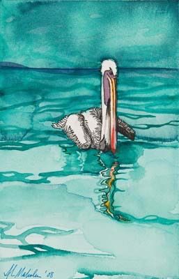 Pelican Reflections