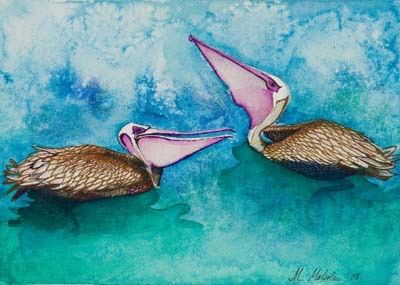 Pelicans - Duet